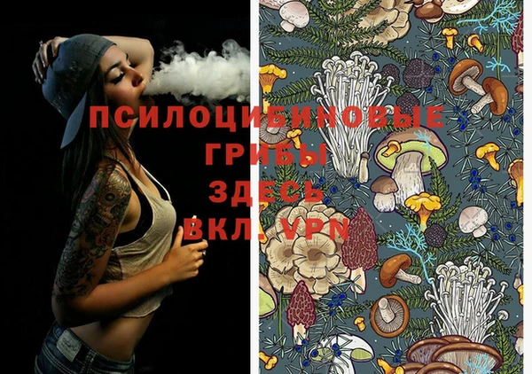 альфа пвп Волоколамск