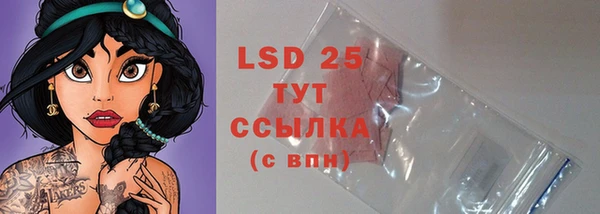 мдпв Верея