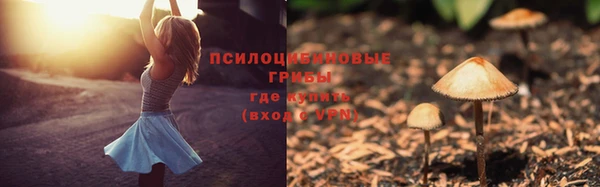 дмт Сосновка