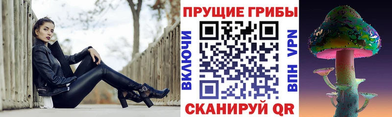 Галлюциногенные грибы Cubensis  Гусев 