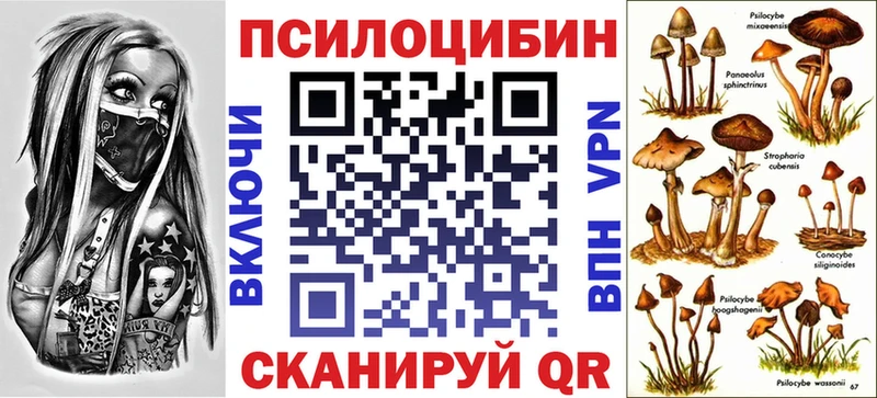 Псилоцибиновые грибы мухоморы Гусев